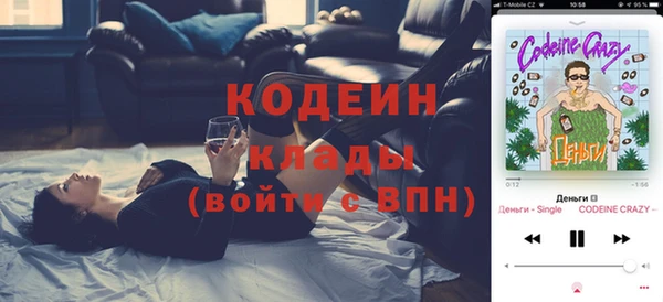 дмт Алексин