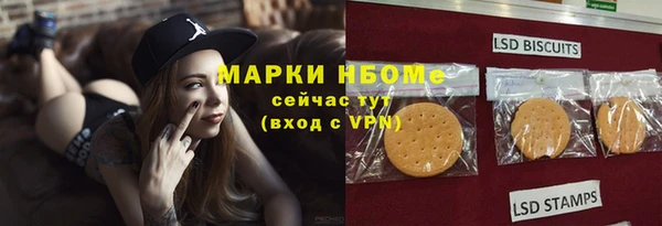 индика Абинск