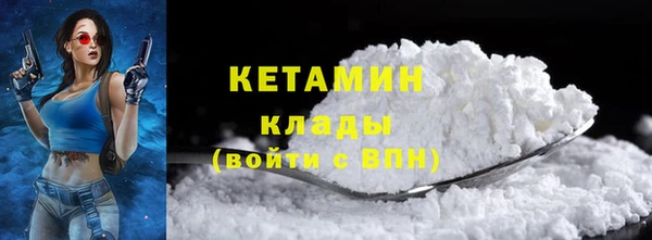 индика Новозыбков