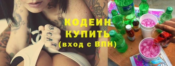 прущий лед Алзамай
