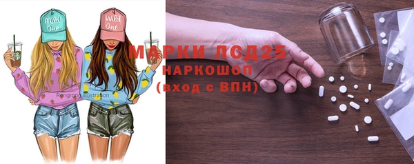 прущий лед Алзамай